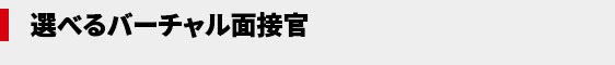 選べる人材キャラクター